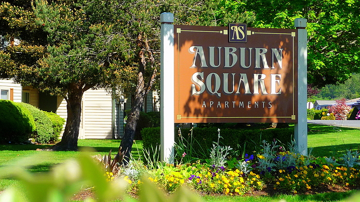 Auburn WA