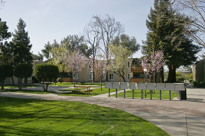 Milpitas CA
